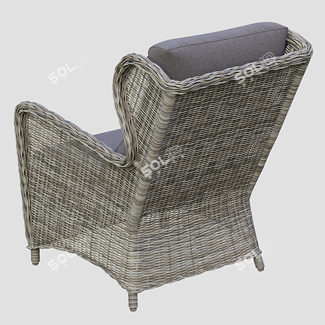 Rosita Grey Armchair for Interiors 3D model image 2