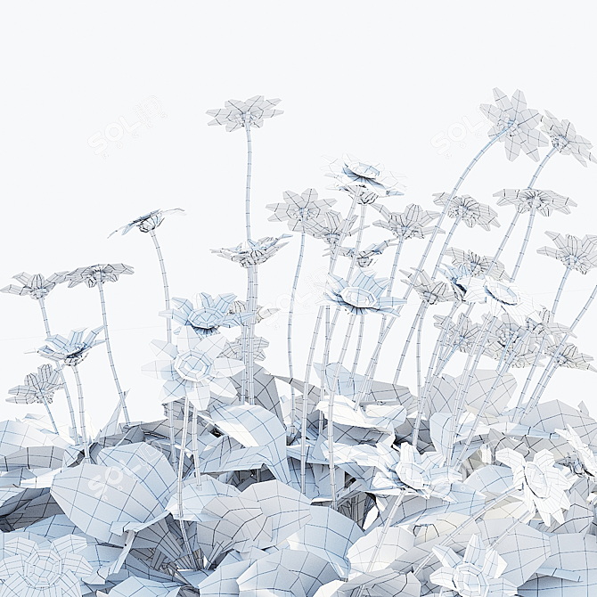 Mini Coreopsis Flower Collection Beds 3D model image 5