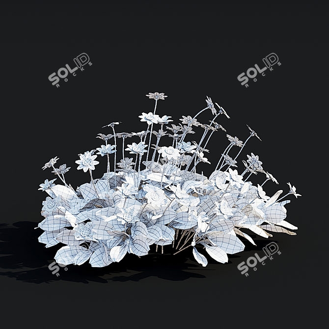 Mini Coreopsis Flower Collection Beds 3D model image 7