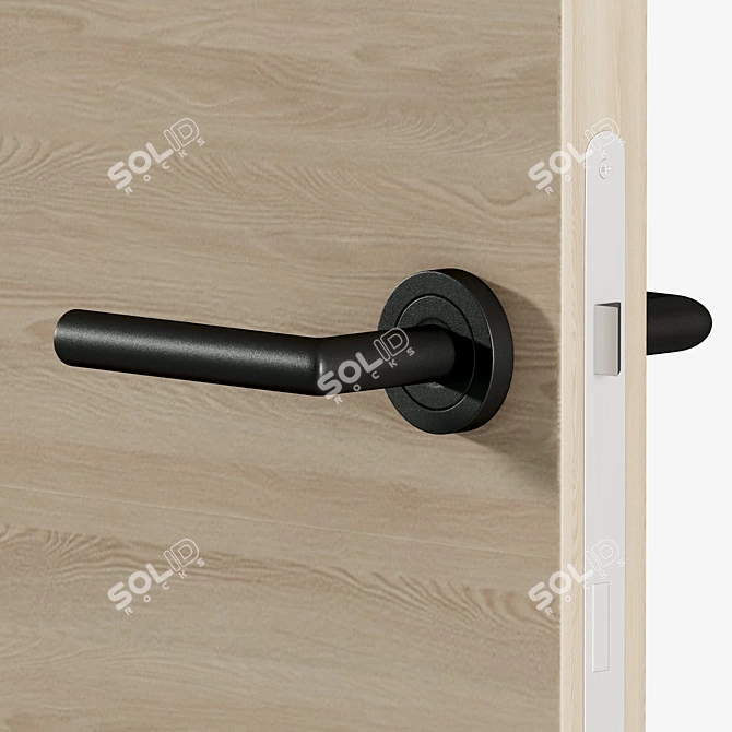 Hardflex Interior Doors with Locks 3D model image 3