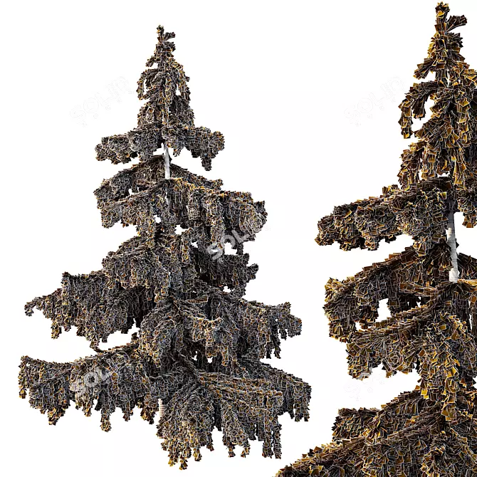  Cedrus Deodara 3D Models Pack 3D model image 4