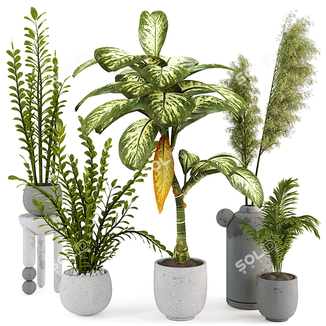 Tropical Plant Collection 3D Models 3D model image 1