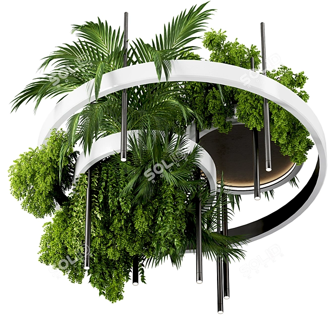 Premium Hanging Indoor Plants Set 3D model image 1