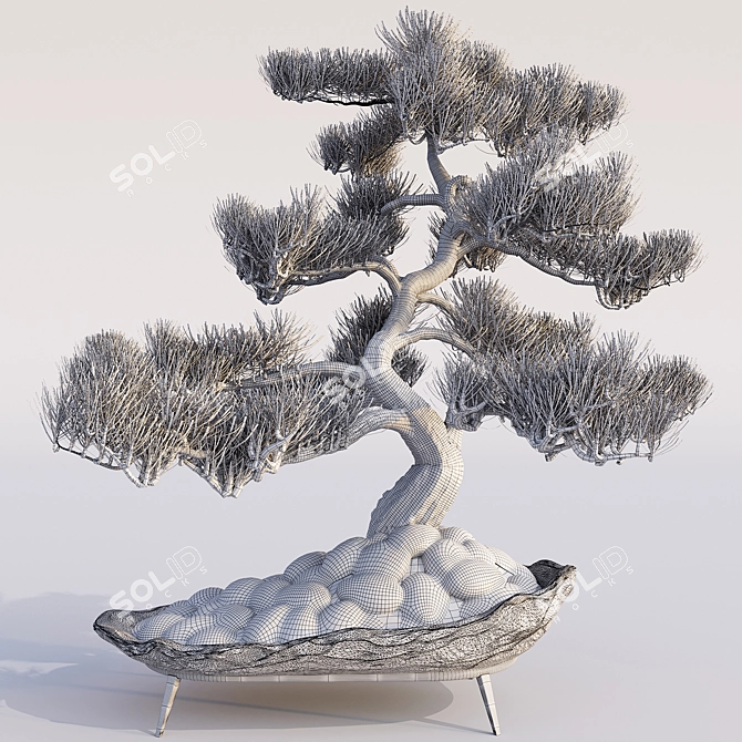 Pine Bonsai with Stone Pot 3D model image 3