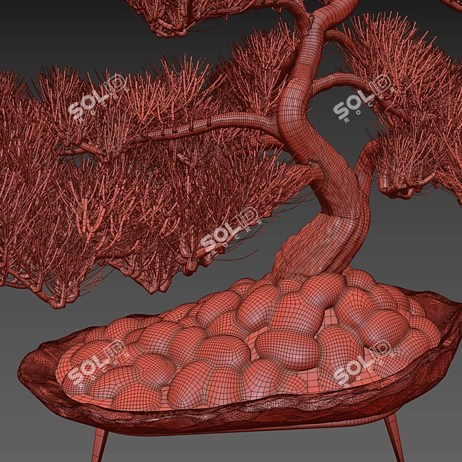 Pine Bonsai with Stone Pot 3D model image 4