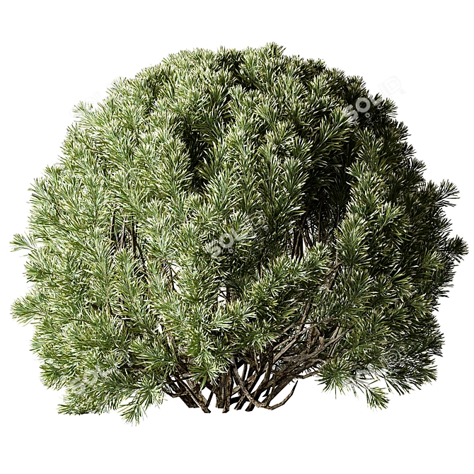 Versatile Greenery Mix 136 3D model image 3