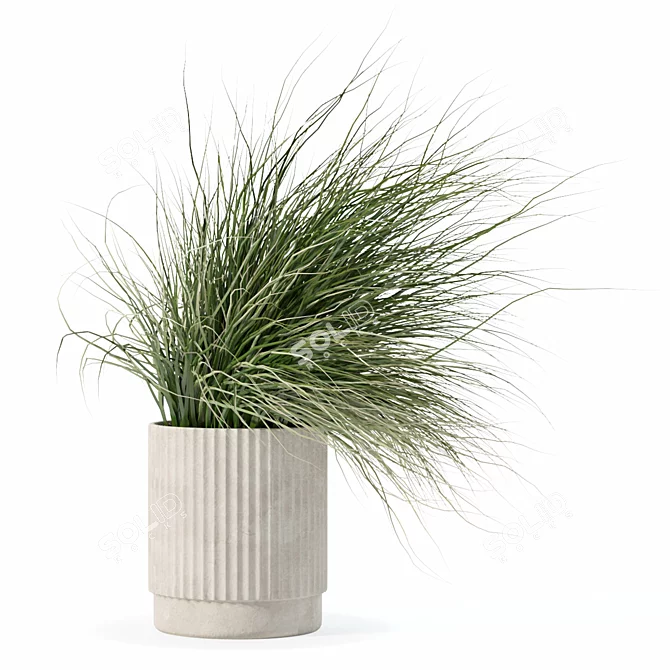 Diverse Grass Plants Collection 3D model image 1