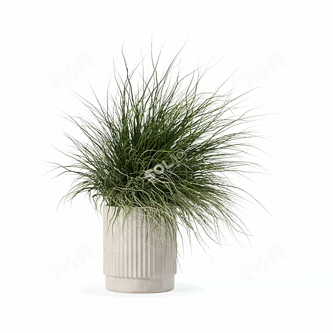 Diverse Grass Plants Collection 3D model image 2