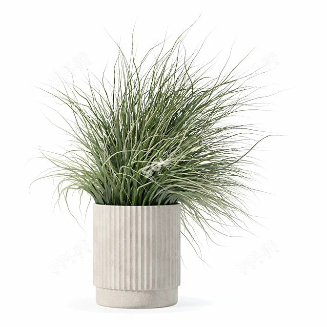 Diverse Grass Plants Collection 3D model image 3