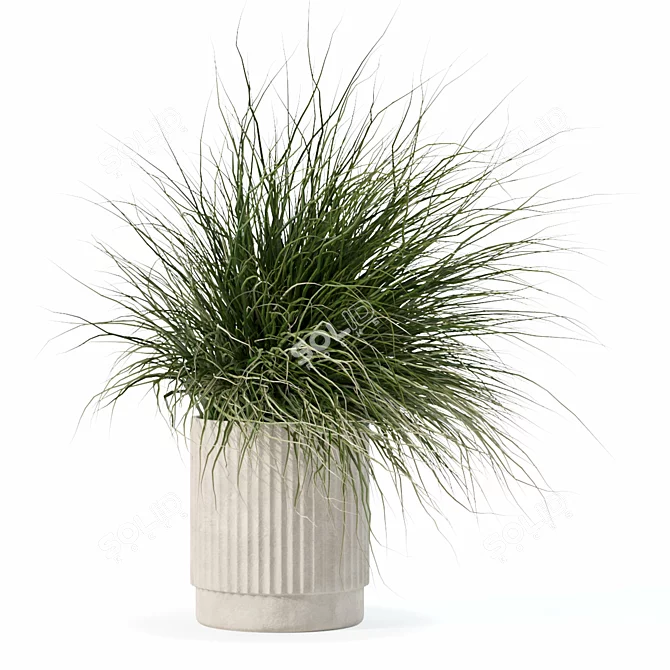 Diverse Grass Plants Collection 3D model image 4