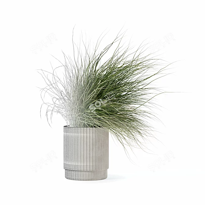 Diverse Grass Plants Collection 3D model image 5
