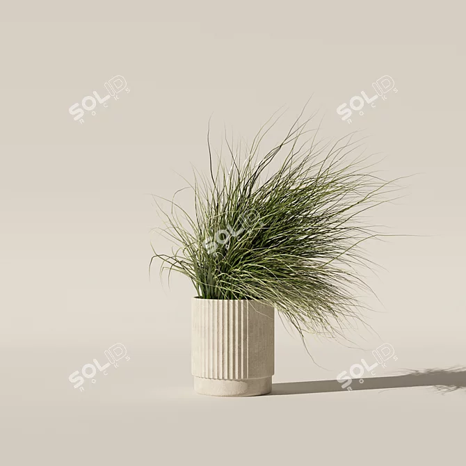Diverse Grass Plants Collection 3D model image 6