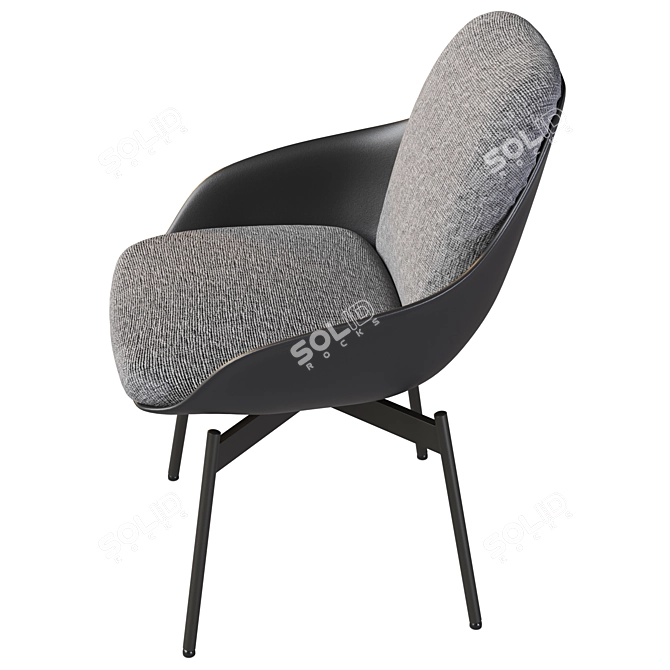Rolf Benz Jua Outdoor Chair 3D model image 5