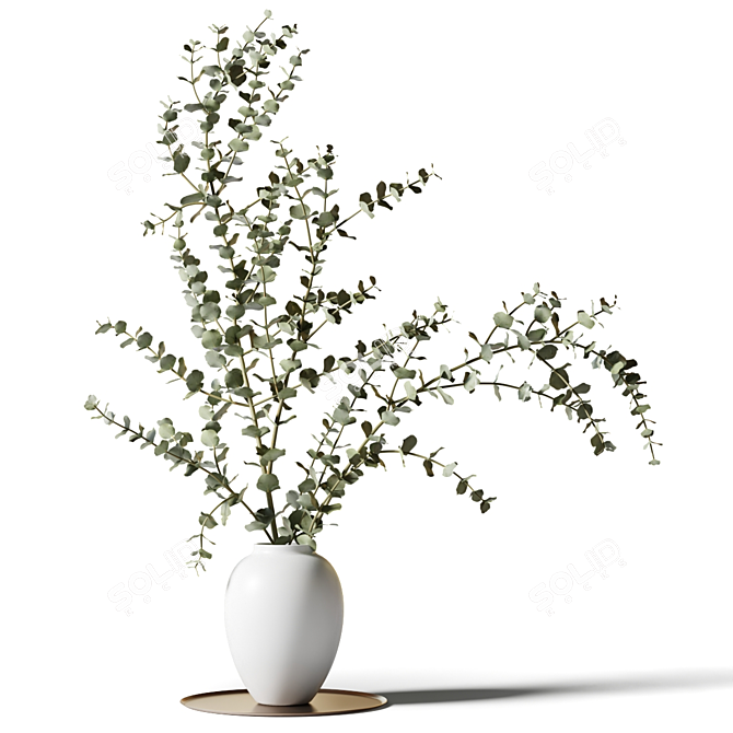 Eucalyptus Branches in White Vase 3D model image 1