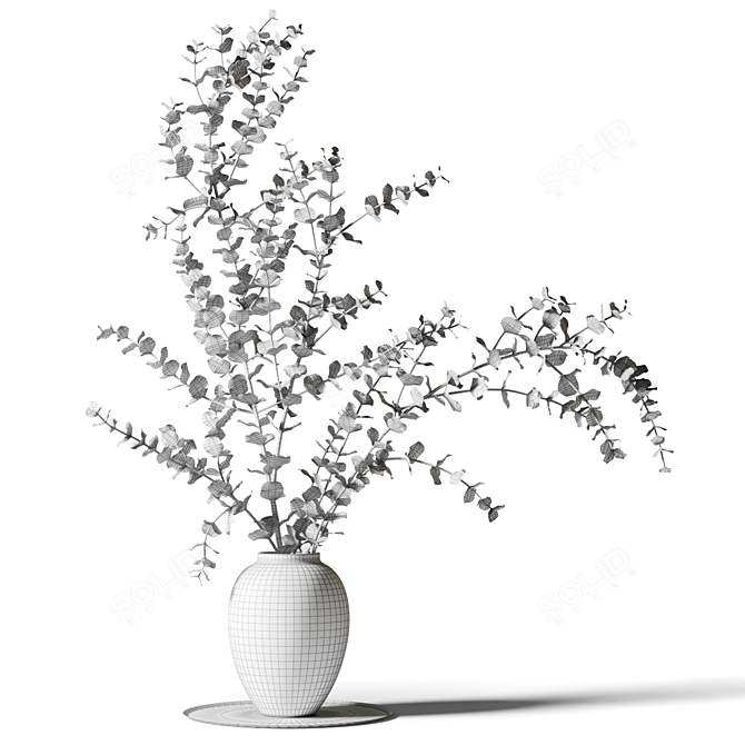 Eucalyptus Branches in White Vase 3D model image 2