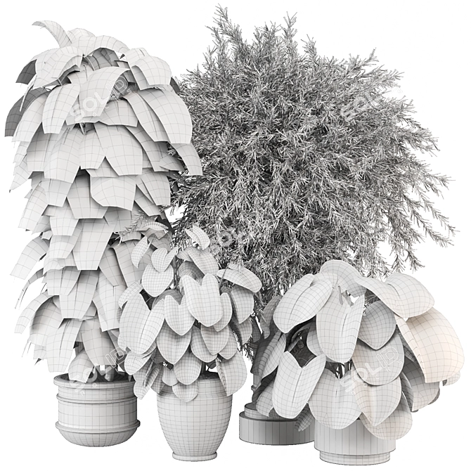 Modern Indoor Plants Collection Set 3D model image 6