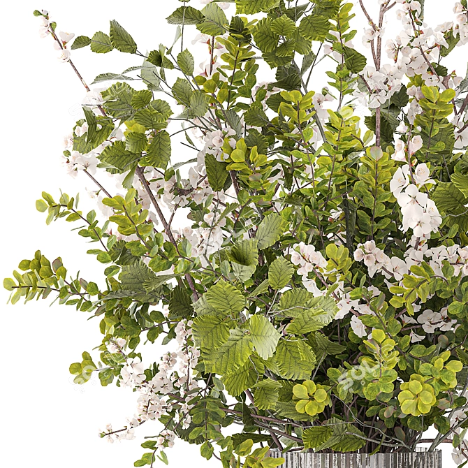 Blooming Cherry Blossom Bouquet 3D model image 4