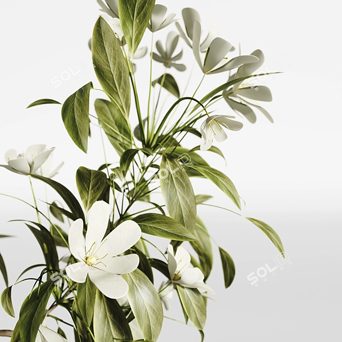 Elegant Floral Bouquet 2015 3D model image 2