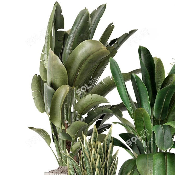 Handcrafted Indoor Plants Bouquet Display 3D model image 6