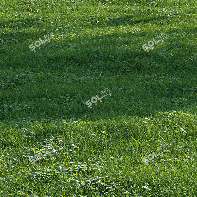 Scatter Grass Kit for Vray 3D model image 1