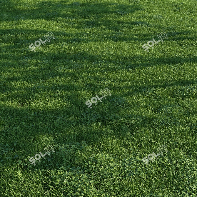 Scatter Grass Kit for Vray 3D model image 2