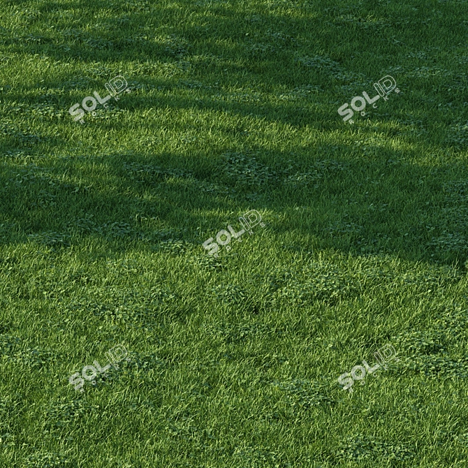 Scatter Grass Kit for Vray 3D model image 3