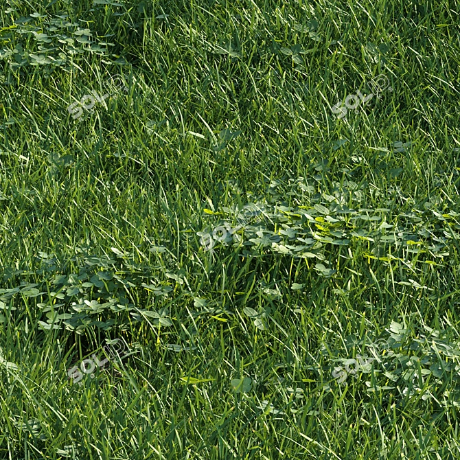 Scatter Grass Kit for Vray 3D model image 4