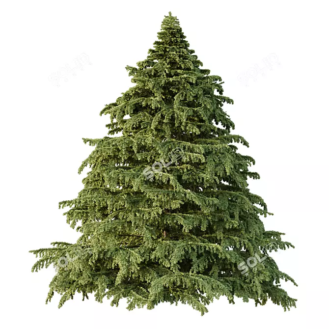 Title: Deodara06 3D Tree Model 3D model image 1