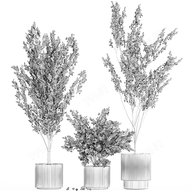 White Blossom Collection Set 3D model image 5