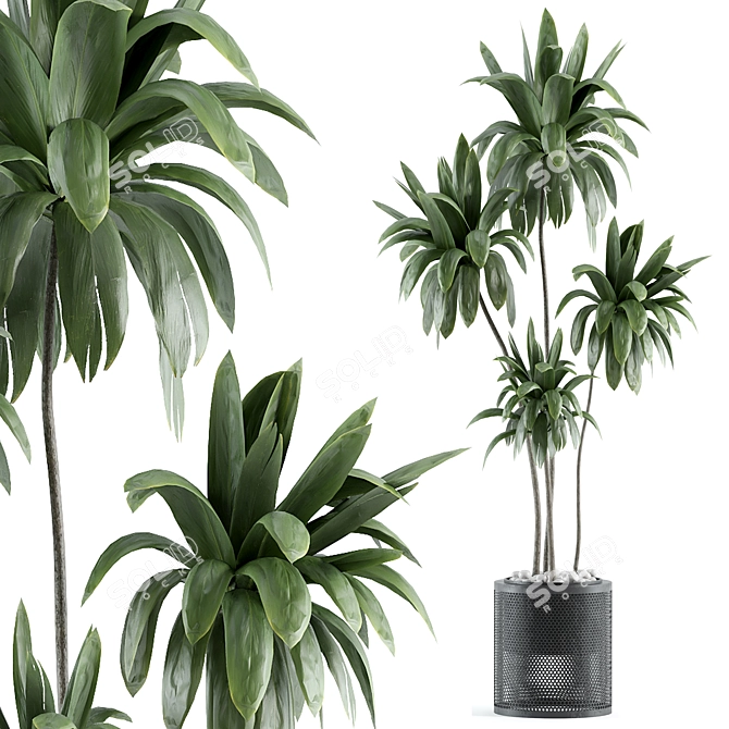 Modern Indoor Plant Model 161 3D model image 1