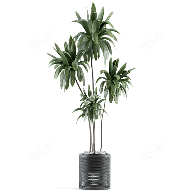 Modern Indoor Plant Model 161 3D model image 2