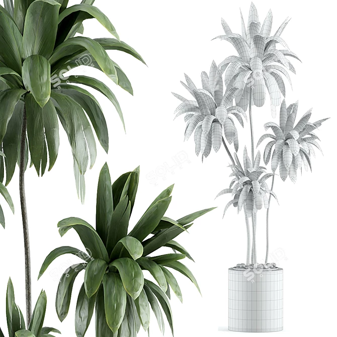 Modern Indoor Plant Model 161 3D model image 3