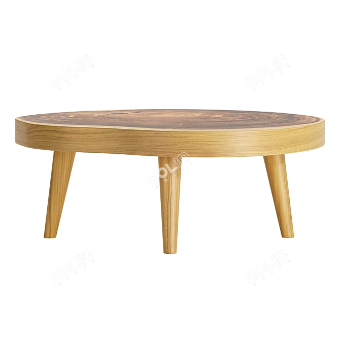 Rustic Millwood Pines Coffee Table 3D model image 2