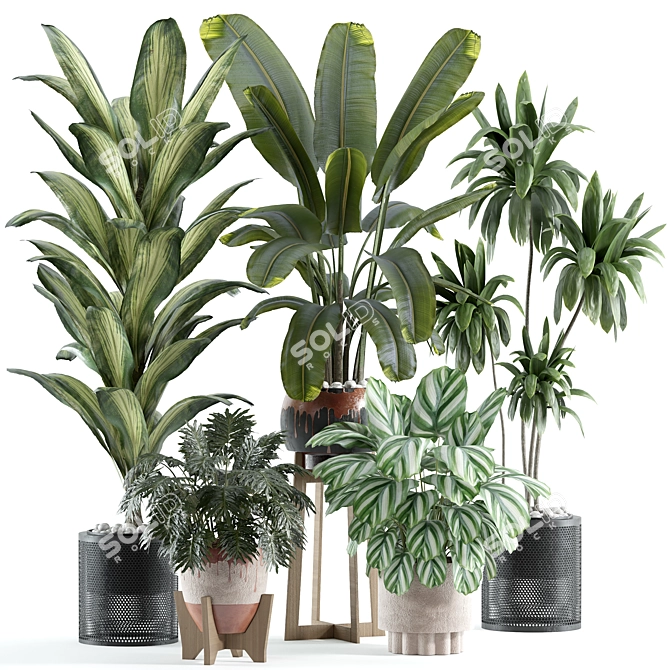 Customizable Indoor Plant Model 3D model image 1