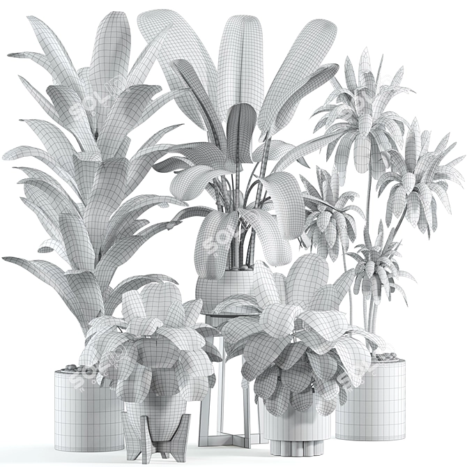 Customizable Indoor Plant Model 3D model image 2