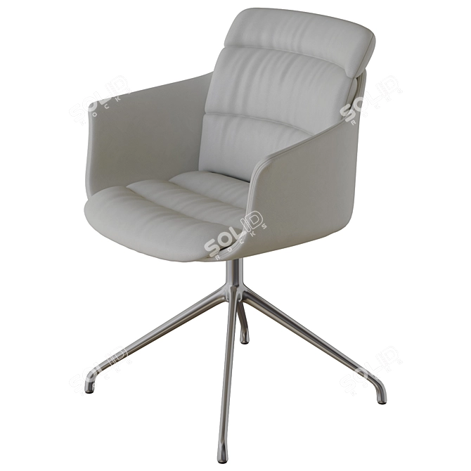 de Sede DS 525 Chair 3D model image 3