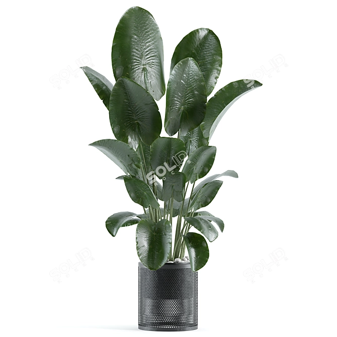 Modern Indoor Plant Model 164 3D model image 2