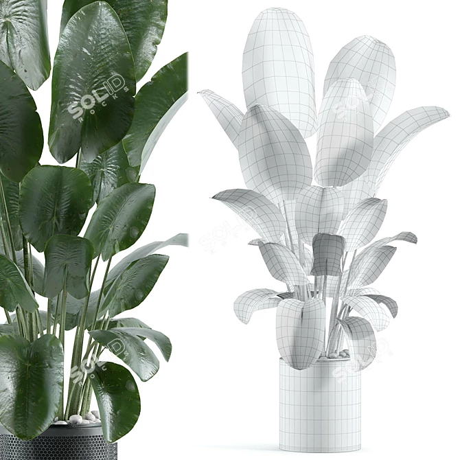 Modern Indoor Plant Model 164 3D model image 3