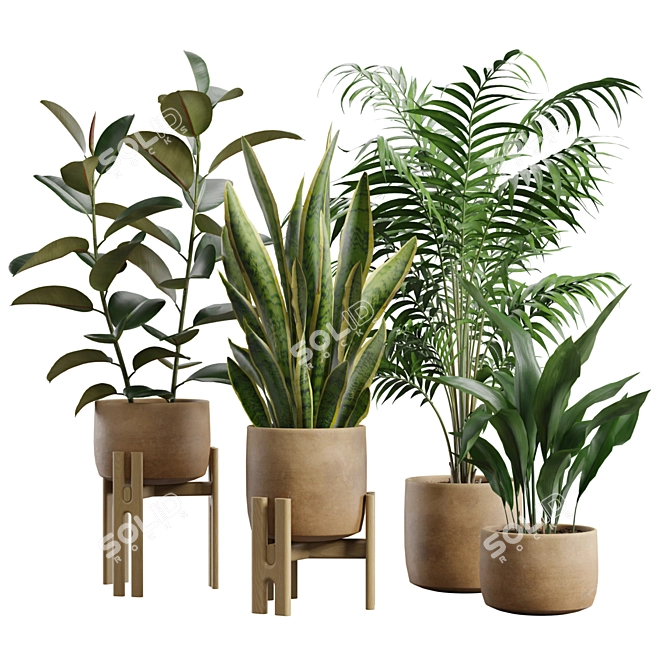 Exotic Indoor Plants Collection Pack 3D model image 1