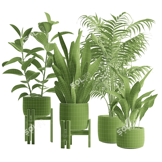 Exotic Indoor Plants Collection Pack 3D model image 3