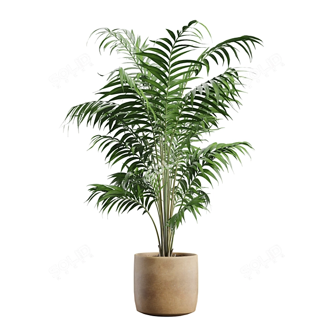 Exotic Indoor Plants Collection Pack 3D model image 4