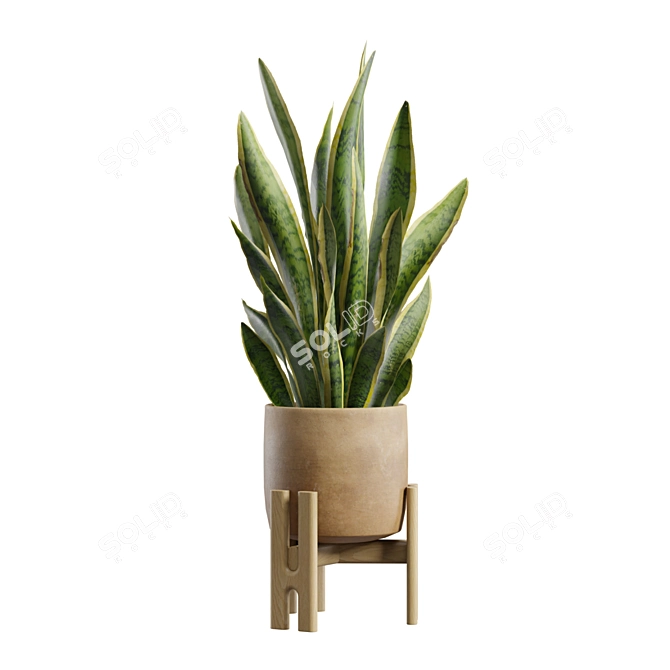 Exotic Indoor Plants Collection Pack 3D model image 5