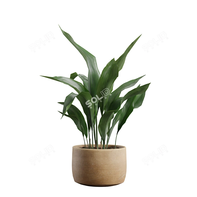 Exotic Indoor Plants Collection Pack 3D model image 7