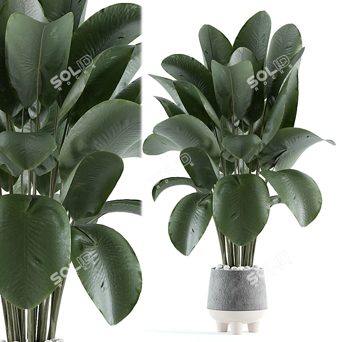 Modern Indoor Plant Model 166 3D model image 1