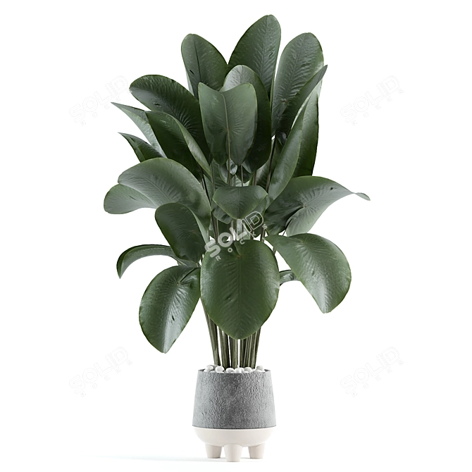 Modern Indoor Plant Model 166 3D model image 2