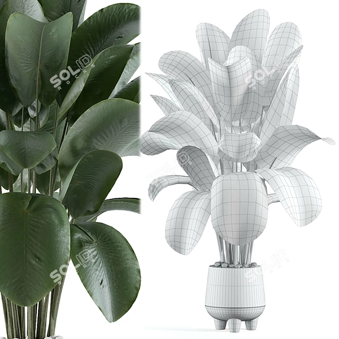 Modern Indoor Plant Model 166 3D model image 3