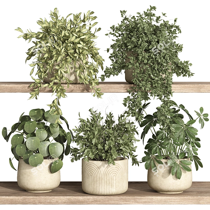 Modern Plant Shelf Display 3D model image 1