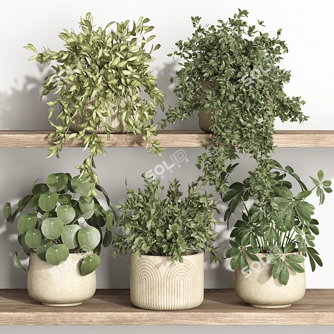 Modern Plant Shelf Display 3D model image 2