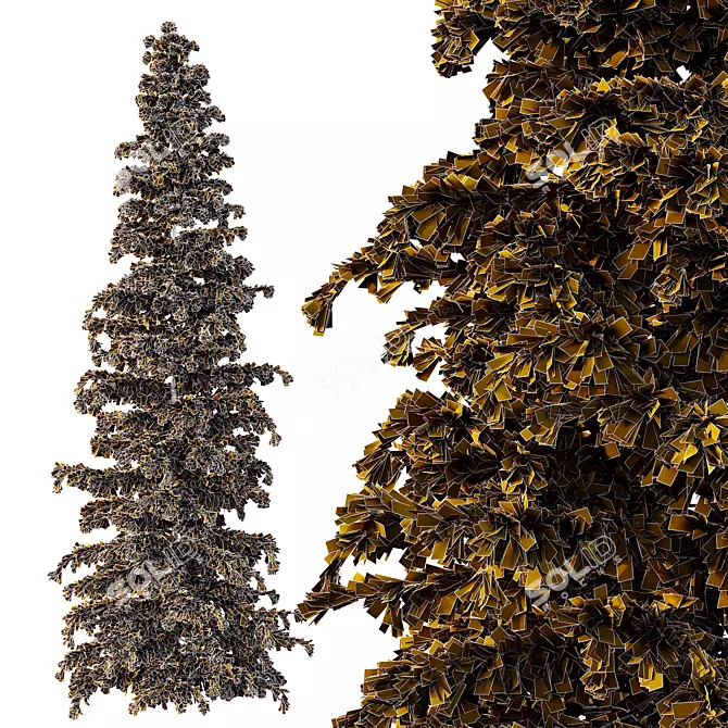 Cedar Tree Models Set 3D model image 4