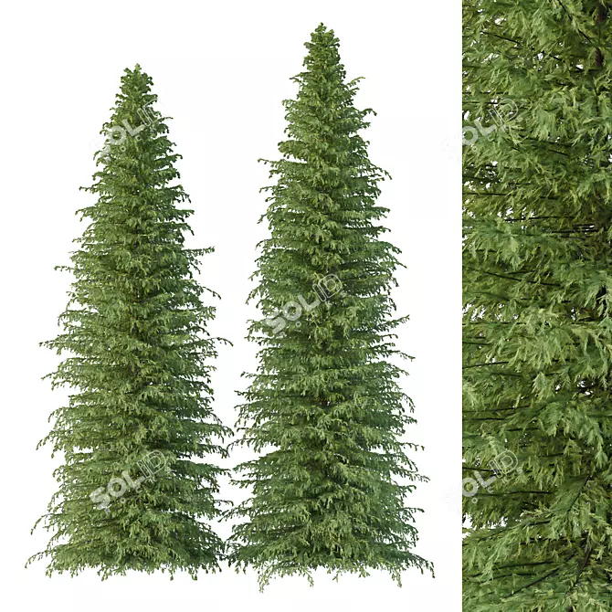 Cedrus Deodara Architectural Tree Models 3D model image 1